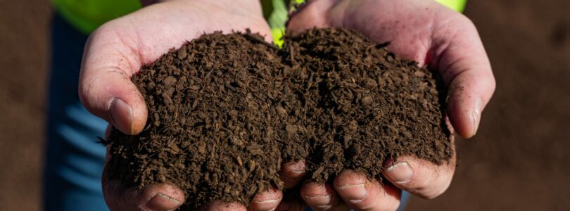 Spotlight Deal: Composting Adds Value for Mali Farmers