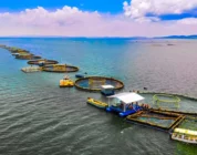 What It Takes to Fund a Sustainable Ocean Economy: Closing the Massive Blue Finance Gap