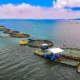 What It Takes to Fund a Sustainable Ocean Economy: Closing the Massive Blue Finance Gap