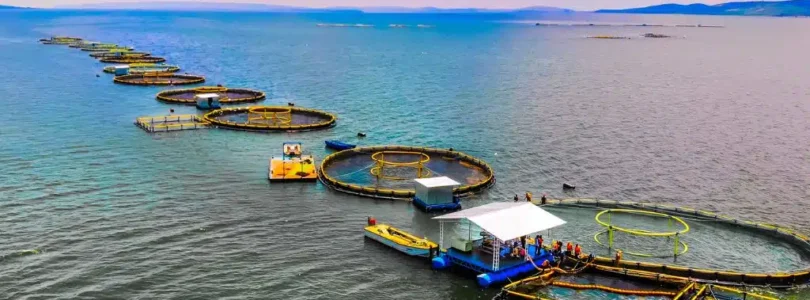 What It Takes to Fund a Sustainable Ocean Economy: Closing the Massive Blue Finance Gap