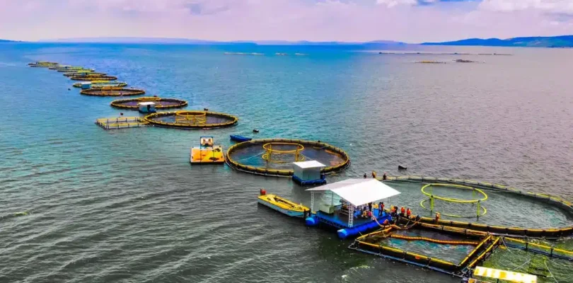 What It Takes to Fund a Sustainable Ocean Economy: Closing the Massive Blue Finance Gap