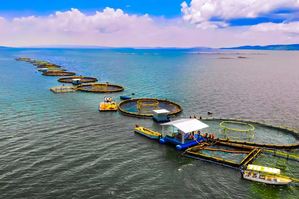 What It Takes to Fund a Sustainable Ocean Economy: Closing the Massive Blue Finance Gap